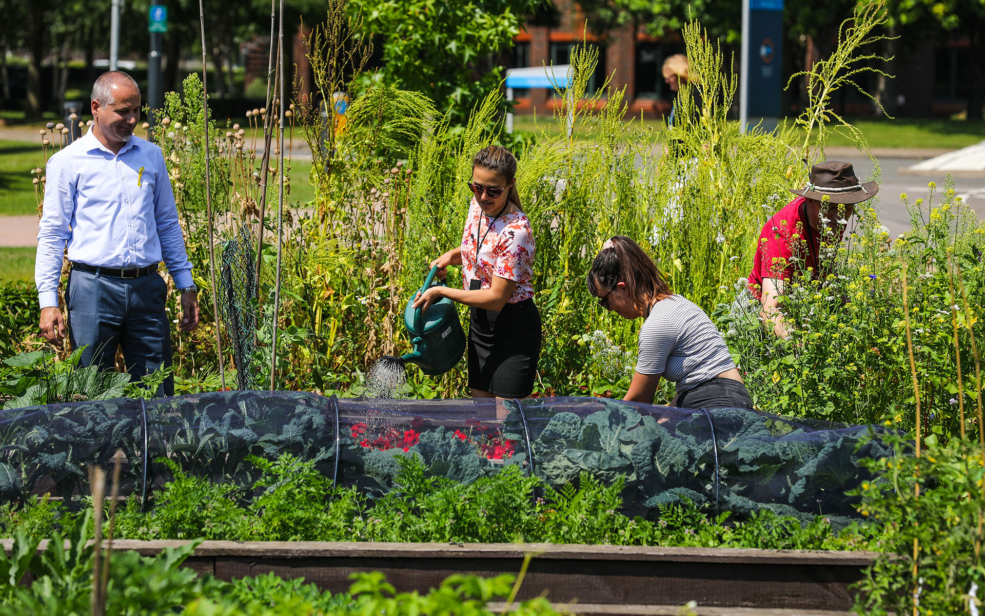 People in a planting allotment, MEPC managed asset, Milton Park, Oxford.