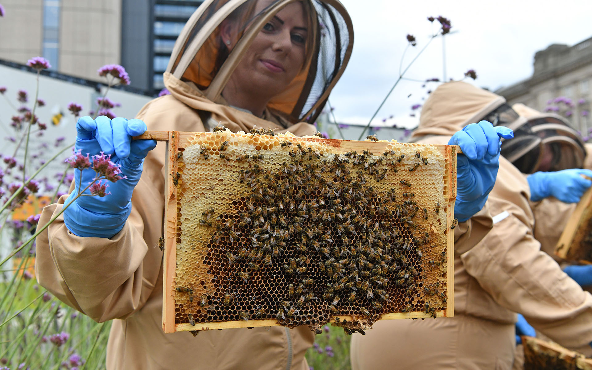 Honey extraction, Paradise Birmingham, MEPC managed asset.